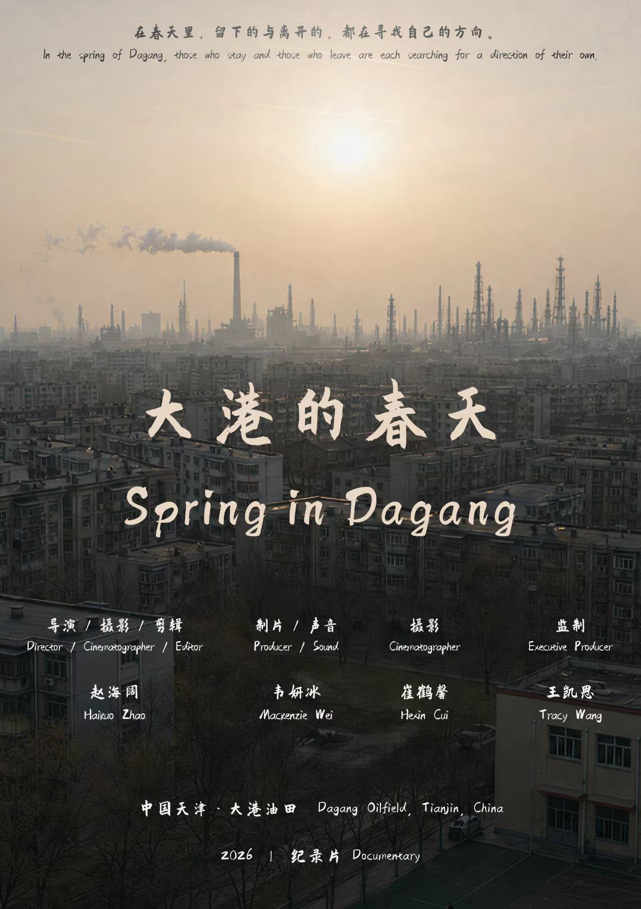 大港的春天 海报